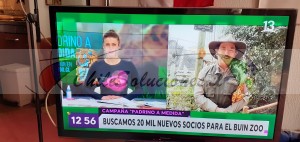 Manuel marín Avisos gratis en Chile en Providencia |  Vendo tv panasonic lcd en perfecto estado, Se vende televisor panasonic en perfecto estado