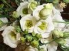 ARREGLOS FLORES NATURALES , RAMOS DE NOVIA, DECORACION MATRIMONIOS avisos clasificados en www.chilesoluciones.cl