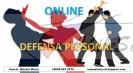 defensa personal , boxeo, karate y aikido ahora online