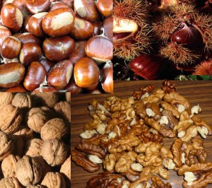 JACQUELINE Avisos gratis en Chile en Rancagua |  NUECES Y CASTA&Ntilde;AS COSECHA 2010, GRAN STOCK, PRECIOS AL POR MAYOR