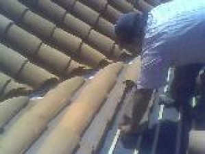 alexis retamal Avisos gratis en Chile en Vi&ntilde;a del Mar |  ventas de tejas y  ladrillos fiscales, maestro en especialista en techumbres