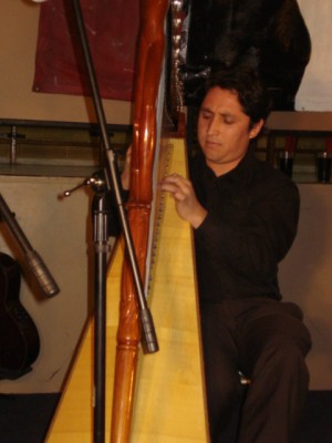 Manuel Espinoza Avisos gratis en Chile en Estaci&oacute;n Central |  Profesor y Concertista de Arpa Popular o Folkl&oacute;rica., ARPA - EVENTOS 