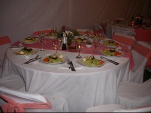 karin Avisos gratis en Chile en Puente Alto |  ARRIENDO CARPA 9 X 8 METROS  A $100.000 PARA PUENTE ALTO, servicio de banqueteria para tu matrimonio, graduacion, cumplea&ntilde;os.