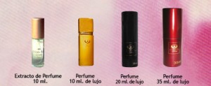  Avisos gratis en Chile en Vallenar |  AUMENTA TUS INGRESOS TRABAJANDO EN VENTA DE PERFUMES FAMOSOS, perfumeria yves $3.500 solo por diciembre 2010 incorporacion rebajada