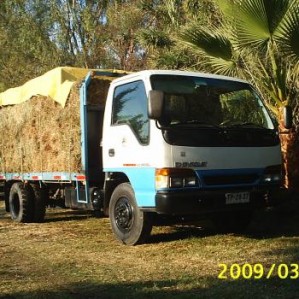 RICARDO JARA Avisos gratis en Chile en Paine |  SE REALIZAN FLETES DENTRO Y FUERA DE SANTIAGO, CAMION CHEVROLET DE 5000 KILOS CON CHOFER