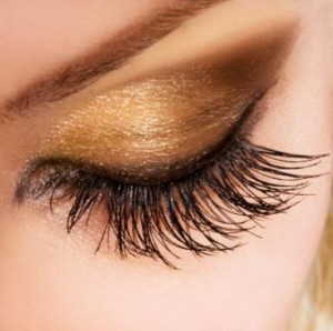 paula Espinoza Avisos gratis en Chile en Pe&ntilde;alol&eacute;n |  maquillaje y peinados de novia a domicili, maquillaje y peinados de novia a domicili