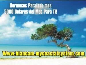 julia flores Avisos gratis en Chile en Mar&iacute;a Pinto |  Buena noticia de negocio basados en el hogar, negocio