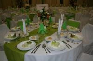 elena Avisos gratis en Chile en Chill&aacute;n |  BANQUETERIA PARA MATRIMONIOS TODO EVENTO PARA CHILLAN Y ALREDEDORES, TRONCOSO Y BRAVO BANQUETERIA/Servicio Integral y Profesional