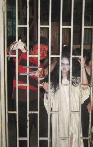 faverba Avisos gratis en Chile en Rancagua |  animacion artistica de eventos, personajes y espectaculos de fantasia