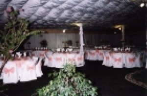 EVENTOS SIGLO XXI Avisos gratis en Chile en Santa Ana de Chena |  PRODUCCI&Oacute;N EN FIESTAS EN GENERAL MATRIMONIOS.. GRADUACIONES, ECONOMIA, ELEGANCIA.... 