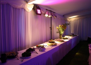 Jorge Garrido Chirino Avisos gratis en Chile en Vi&ntilde;a del Mar |  fotografia, video, amplificacion, iluminacion, animacion, musica, con con, vi&ntilde;a del mar, quilpue, limache, quillota, la calera