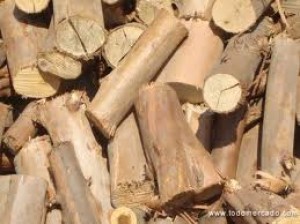 Angel Lopez Guerra Avisos gratis en Chile en Rengo |  Vendo Le&ntilde;a de Eucalipto, Le&ntilde;a de Eucalipto seca