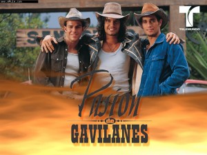 Jos&eacute; Sebastian Avisos gratis en Chile en Arica |  Compro telenovela Pasi&oacute;n de Gavilanes, colecci&oacute;n original completa 13+1 DVD