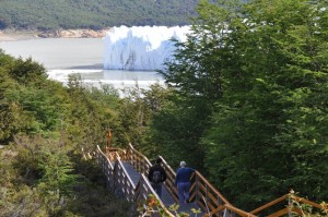 RODOLFO D�AZ MIRANDA Avisos gratis en Chile en Punta Arenas |  TOUR GLACIAR PERITO MORENO (ARGENTINA ) $50.000 POR PAX GRUPAL POR EL D&Iacute;A , TORRES DEL PAINE CHILE $30.000 SALIDAS DIARIAS turismomercury@gmail.com