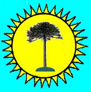 SOLARAUCANIA Avisos gratis en Chile en Villarrica |  ENERG&Iacute;A SOLAR VILLARICA,PUC&Oacute;N, LICANRAY ALREDEDORES, FOTOVOLTAICA Y TERMICA