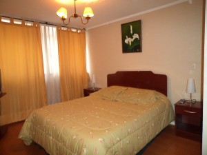  Anuncios gratis en Santiago |  Arriendo departamentos amoblados en SANTIAGO CENTRO  por d&iacute;as , metro univ de chile