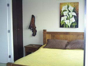  Anuncios gratis en Santiago |  ARRIENDO  DEPARTAMENTOS AMOBLADOS por dia cerca del HOSPITAL LA CATOLICA , METRO UNIVERSIDAD CATOLICA