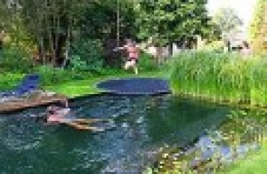 ecoestilo.cl Anuncios gratis en Santiago |  piscinas ecologicas, piscinas y lagunas naturales