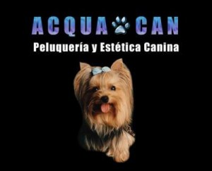 acquacan Avisos gratis en Chile en Las Condes |  PELUQUERIA CANINA PERSONALIZADA EN LAS CONDES , LA REINA, precios bajos