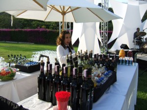 sebastian Avisos gratis en Chile en El Array&aacute;n |  Servicio de garzones personal de servicio a domciilio 08-8291797 stgo, WWW.GARZONEXPRESS.CL Somos una empresa con mas de 8 a&ntilde;os de experiencia