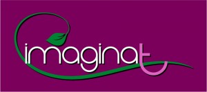 abepub Avisos gratis en Chile en Vi&ntilde;a del Mar |  Decoraci&oacute;n de Eventos Vi&ntilde;a del Mar - Valparaiso, IMAGINAT - Decoraci&oacute;n de Eventos y Celebraciones