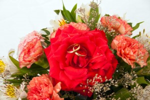 Jorge Garrido Chirino Avisos gratis en Chile en Pe&ntilde;ablanca |  fotografia & video (matrimonios, fiestas 15 a&ntilde;os), www.accesodigital.cl