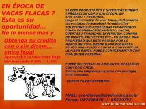 Marcela Rocha Anuncios gratis en &Ntilde;u&ntilde;oa |  Encintados y souvenirs muy bonitos para toda ocasion, Bautizos,baby shower,primera comunion,etc