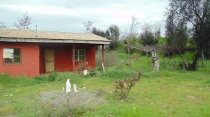 Veronica  Avisos gratis en Chile en Pichidegua |  Hermosa parcela con caba&ntilde;a de 5000  mts , Parcela en la comuna de pichidegua