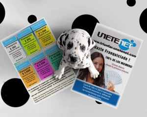 Unetenet Avisos gratis en Chile en Petorca |  Su negocio de publicidad online en casa, Trabaja desde casa