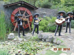 Mariachi Tierra Nueva Avisos gratis en Chile en Santiago |  Mexicanos a domicilio ,contrataciones : (022) 3016370 mariachi tierra , Celular :07-9617068 !!!(022) 573 31 58 !!!