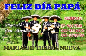 Mariachi Tierra Nueva Avisos gratis en Chile en Recoleta |  Bellas serenatas en recoleta:07 961 70 68,  !!! hermosas y divertidas canciones: 07-9617068 !!!