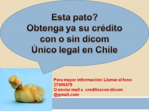 leaseback facil Avisos gratis en Chile en Concepci&oacute;n |  Necesita dinero para sus vacaciones?deudas? obtenga ya su credito, La mejor alternativa para usted