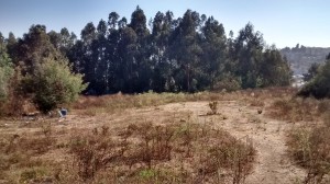 Cristian Gajardo Miralles Avisos gratis en Chile en Vi&ntilde;a del Mar |  Gran parcela en zona urbana y comercial de vi&ntilde;a del mar, 11.600 m2 camino internacional, mirador de re&ntilde;aca