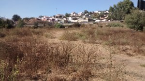 Cristian Gajardo Miralles Avisos gratis en Chile en Vi&ntilde;a del Mar |  Terreno de 11.600 m2 en vi&ntilde;a del mar, excelente ubicaci&oacute;n comercial, Camino internacional, $429.000.000