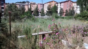 Cristian Gajardo Miralles Avisos gratis en Chile en Vi&ntilde;a del Mar |  Terreno grande, parcela urbanizada en vi&ntilde;a del mar, zona urbana, Camino internacional, 11.600 m2, $429.000.000-