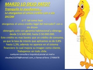 claudia Avisos gratis en Chile en Santiago |  Necesita dinero? para sus deudas? o para invertir? obtengalo ya!!!, Unico legal en chile con o sin dicom
