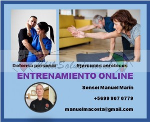 Manuel marín Avisos gratis en Chile en Santiago |  Aprende a defenderte con defensa personal online, Defensa personal integral online por la pandemia