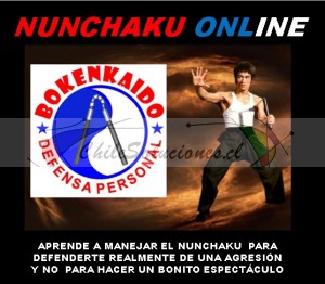 Sensei manuel marín Avisos gratis en Chile en Santiago |  Cursos online por motivos de la pandemia, La pandemia no es impedimento para aprender