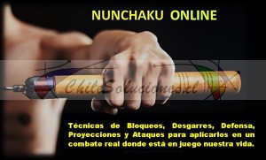 Sensei manuel marín Avisos gratis en Chile en Santiago |  Cursos online ahora por la pandemia no pierdas la oportunidad de aprender, La pandemia no puede obstruir tu aprendizaje
