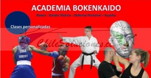 Sensei manuel marín Avisos gratis en Chile en Santiago |  Ahora tienes la oportunidad de aprender a defenderte online, Lláma ahora y comienza a entrenar online