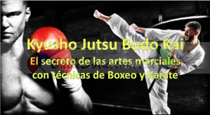 Sensei manuel marín Avisos gratis en Chile en Providencia |  Ahora puedes aprender kyusho jutsu online llama y comienza, Ahora puedes aprender kyusho jutsu online
