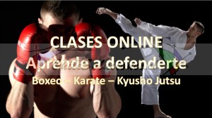 Sensei manuel marín Avisos gratis en Chile en Providencia |  Cursos online de defensa con karate táctico y boxeo, Curso online de defensa con karate táctico y boxeo