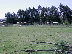 Gestores de Negocios Ltda Avisos gratis en Chile en La Serena |  Venta de Parcela, La Serena, IV Region, Chile., Gestores de Negocios Ltda.