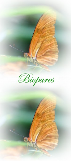 Biopares es Biomagnetismo Avisos gratis en Chile en Concepci&oacute;n |  Biomagnetismo en concepcion, ciencia medica que cura con imanes , El par biomagnetico permite sanar para siempre las enfermedades ....