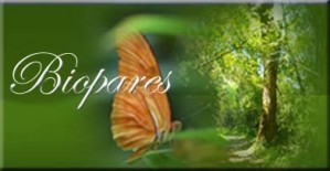 Paola Gomez Avisos gratis en Chile en Concepci&oacute;n |  Par Biomagnetico, es la aplicacion de imanes en el cuerpo que sanan, Biomagnetismo en Concepcion,Chile,solicita tu hora:96990749 con Paola Gomez