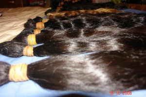 CAROLINA CONTRERAS DIAZ Anuncios gratis en Temuco |  EXTENSIONES DE CABELLO NATURALES DISTRIBUIDORA TEMUCO, MAYORISTA  PROFESIONALES