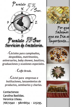 carolina bastidas - Veronica Uteau Avisos gratis en Chile en Punta Arenas |  Servicios de Cocteleria y Banqueteria , Pralelo 53 Sur 