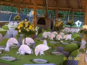 EVENTOS SIGLO XXI Avisos gratis en Chile en Talagante |  C&ograve;ctel y cenas econ&ograve;micos a&ntilde;o 2009, Producci&ograve;n y asesor&igrave;a en eventos para empresas y particulares