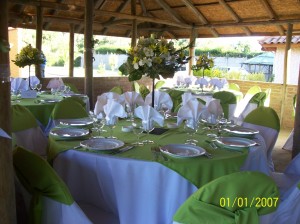 EVENTOS SIGLO XXI Avisos gratis en Chile en Santa Ana de Chena |  BANQUETER�A ECON�MICA A&Ntilde;O 2009, PRODUCE Y ASESORA  EVENTOS SIGLO XXI