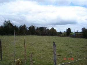 MIGUEL ANGEL FERNANDEZ Avisos gratis en Chile en Puerto Varas |  PARCELA EN PUERTO VARAS, KILOMETRO 8 CAMINO ENSENADA